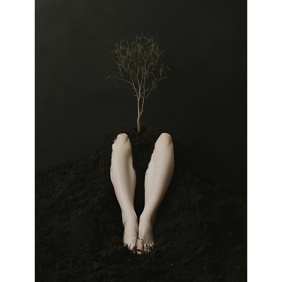 il_pensiero_non_ha_gravita